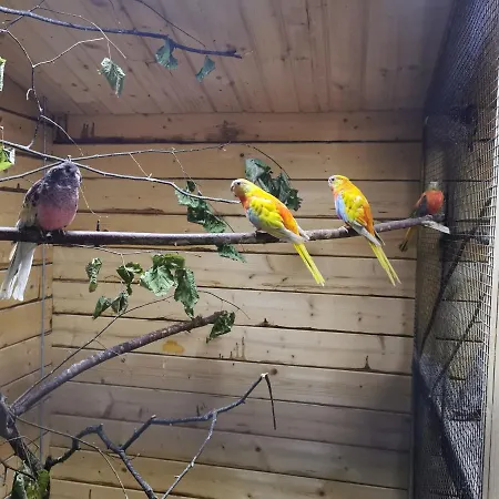 アパート Casa Hibiscus *