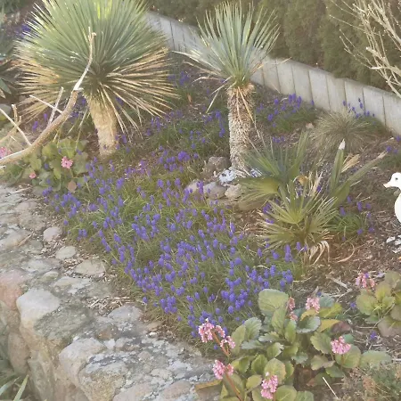 アパート Casa Hibiscus *