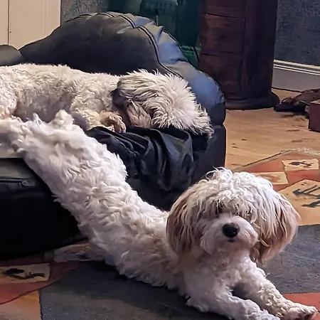 Casa Hibiscus アパート *