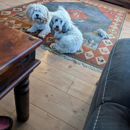 Casa Hibiscus アパート プットブス