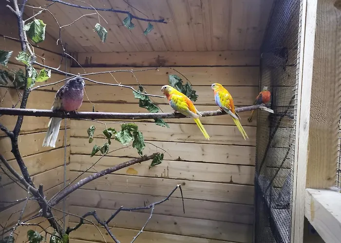 شقة Casa Hibiscus *