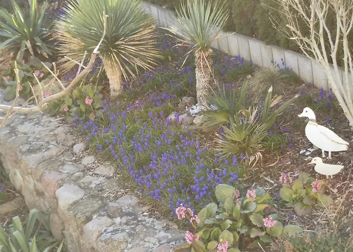شقة Casa Hibiscus *